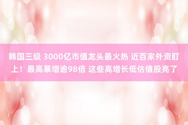 韩国三级 3000亿市值龙头最火热 近百家外资盯上！最高暴增逾98倍 这些高增长低估值股亮了