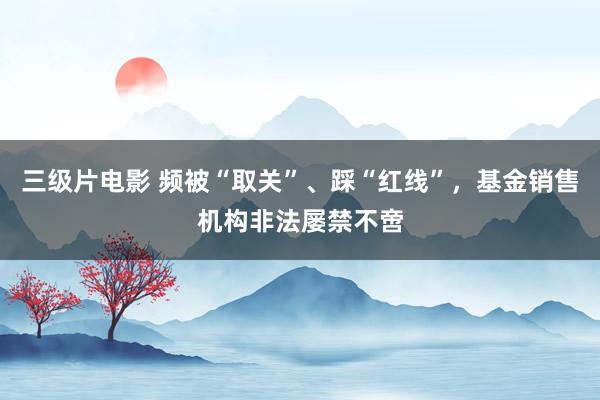 三级片电影 频被“取关”、踩“红线”，基金销售机构非法屡禁不啻