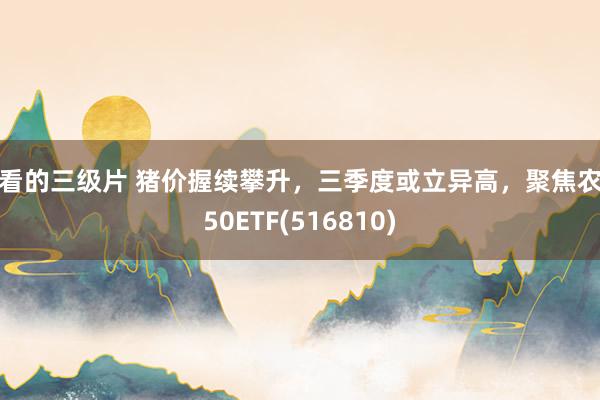 好看的三级片 猪价握续攀升，三季度或立异高，聚焦农业50ETF(516810)