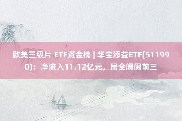 欧美三级片 ETF资金榜 | 华宝添益ETF(511990)：净流入11.12亿元，居全阛阓前三