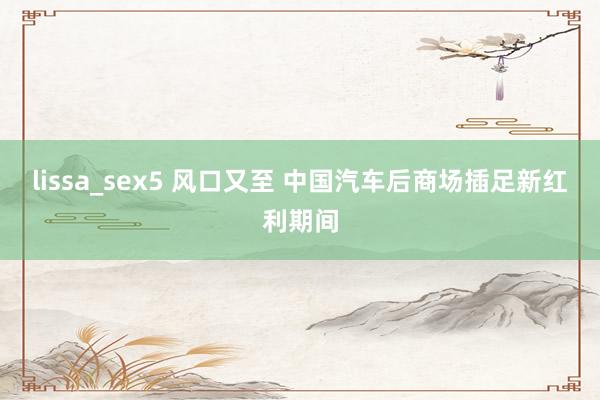 lissa_sex5 风口又至 中国汽车后商场插足新红利期间