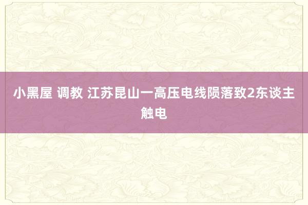 小黑屋 调教 江苏昆山一高压电线陨落致2东谈主触电