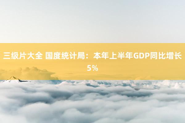 三级片大全 国度统计局：本年上半年GDP同比增长5%