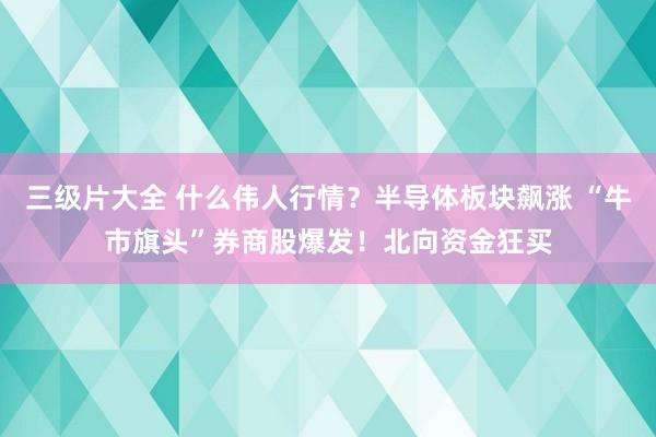 三级片大全 什么伟人行情？半导体板块飙涨 “牛市旗头”券商股爆发！北向资金狂买