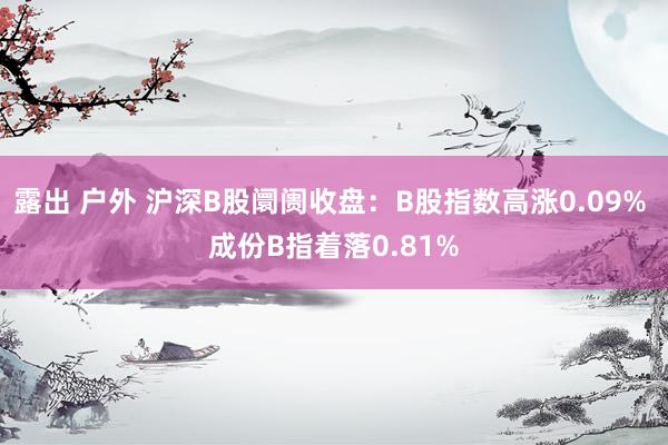 露出 户外 沪深B股阛阓收盘：B股指数高涨0.09% 成份B指着落0.81%