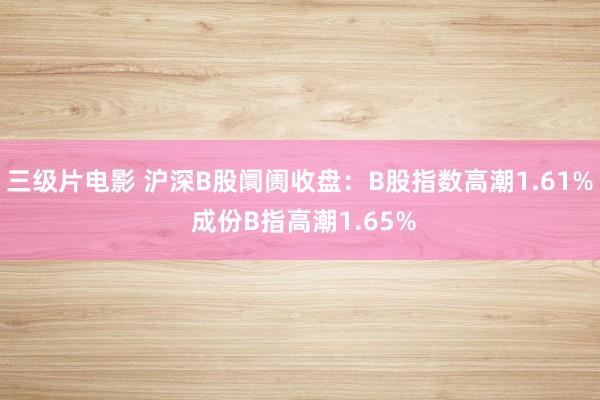 三级片电影 沪深B股阛阓收盘：B股指数高潮1.61% 成份B指高潮1.65%