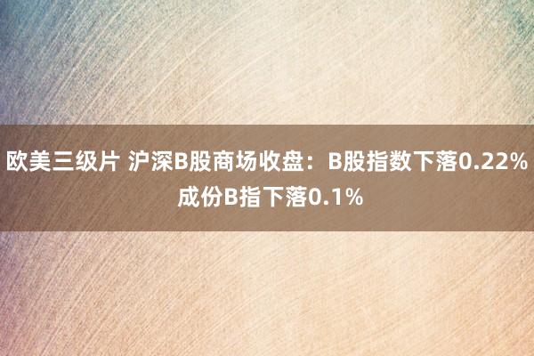 欧美三级片 沪深B股商场收盘：B股指数下落0.22% 成份B指下落0.1%