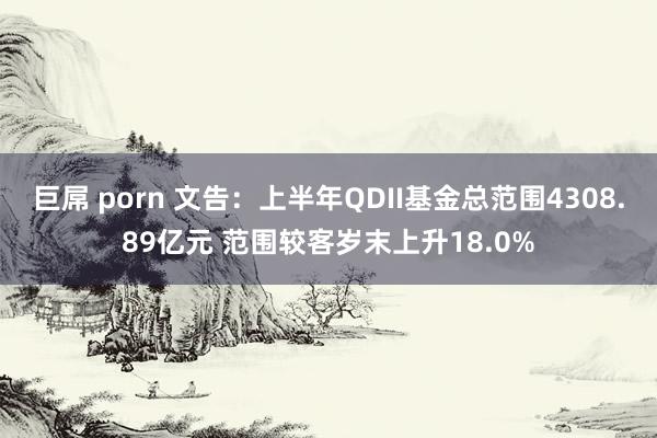 巨屌 porn 文告：上半年QDII基金总范围4308.89亿元 范围较客岁末上升18.0%