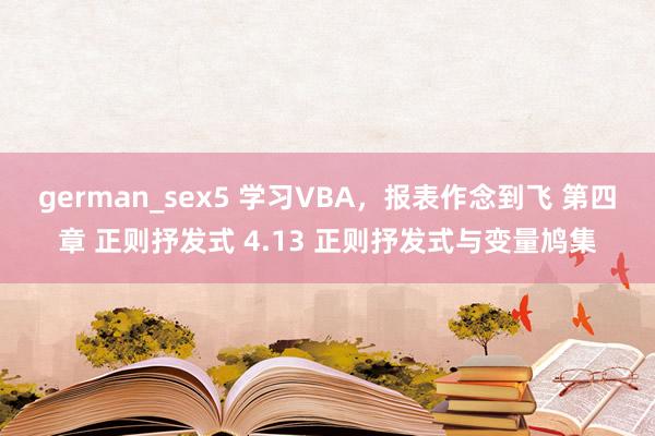 german_sex5 学习VBA，报表作念到飞 第四章 正则抒发式 4.13 正则抒发式与变量鸠集