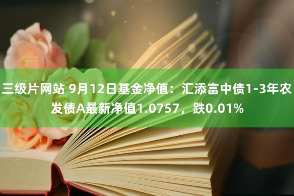 三级片网站 9月12日基金净值：汇添富中债1-3年农发债A最新净值1.0757，跌0.01%