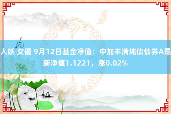 人妖 女優 9月12日基金净值：中加丰满纯债债券A最新净值1.1221，涨0.02%