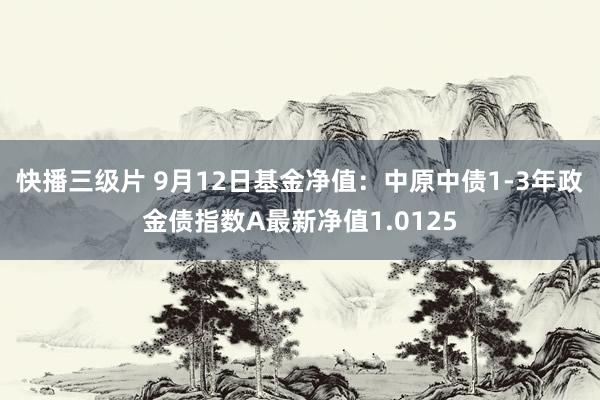 快播三级片 9月12日基金净值：中原中债1-3年政金债指数A最新净值1.0125