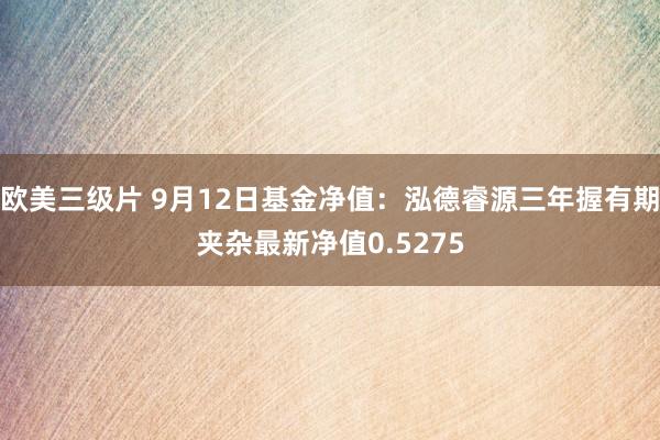 欧美三级片 9月12日基金净值：泓德睿源三年握有期夹杂最新净值0.5275