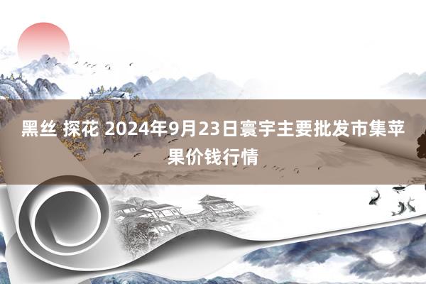 黑丝 探花 2024年9月23日寰宇主要批发市集苹果价钱行情