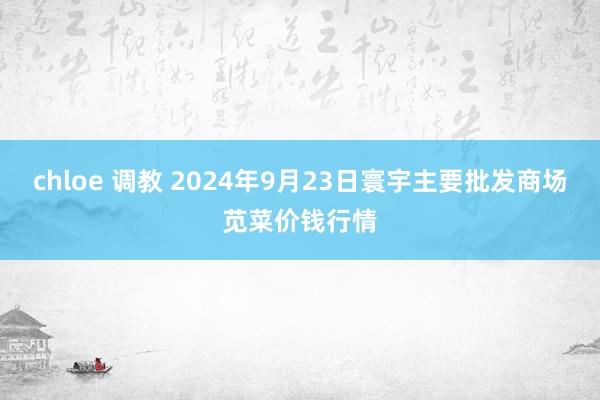 chloe 调教 2024年9月23日寰宇主要批发商场苋菜价钱行情