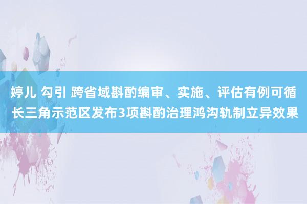 婷儿 勾引 跨省域斟酌编审、实施、评估有例可循 长三角示范区发布3项斟酌治理鸿沟轨制立异效果