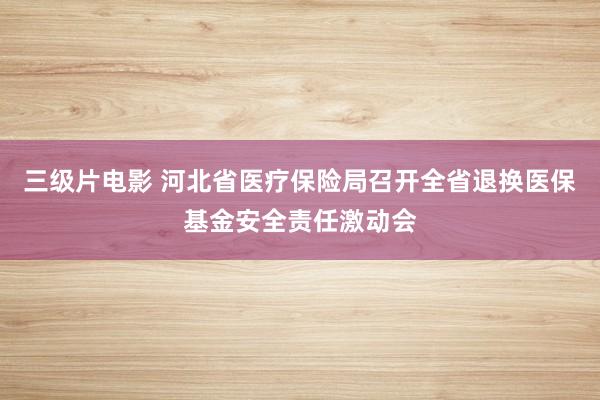 三级片电影 河北省医疗保险局召开全省退换医保基金安全责任激动会