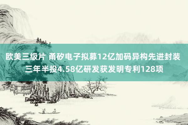 欧美三级片 甬矽电子拟募12亿加码异构先进封装 三年半投4.58亿研发获发明专利128项