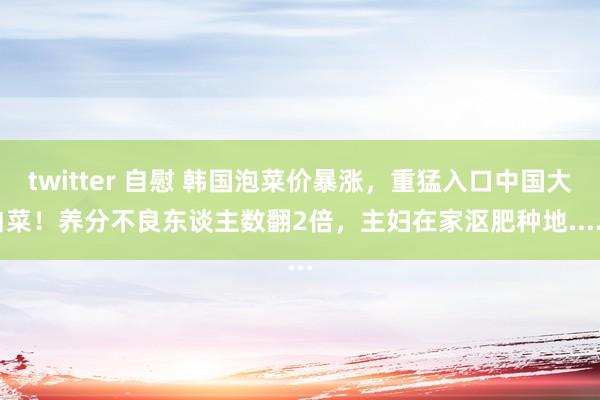 twitter 自慰 韩国泡菜价暴涨，重猛入口中国大白菜！养分不良东谈主数翻2倍，主妇在家沤肥种地......