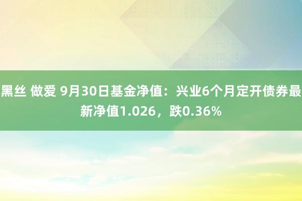 黑丝 做爱 9月30日基金净值：兴业6个月定开债券最新净值1.026，跌0.36%