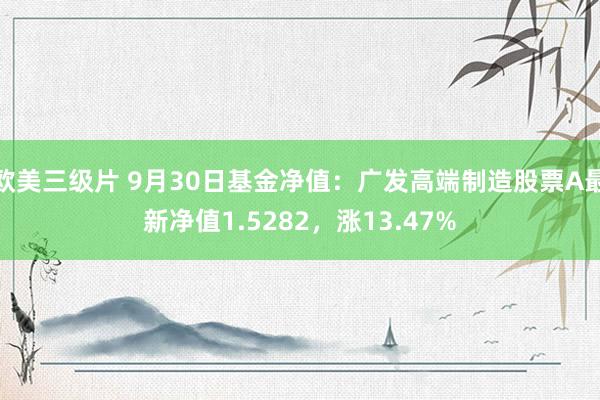 欧美三级片 9月30日基金净值：广发高端制造股票A最新净值1.5282，涨13.47%