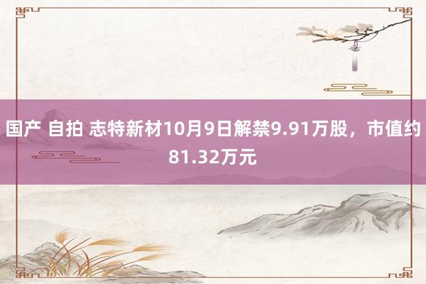 国产 自拍 志特新材10月9日解禁9.91万股，市值约81.32万元