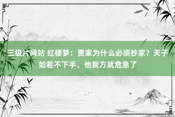 三级片网站 红楼梦：贾家为什么必须抄家？天子如若不下手，他我方就危急了