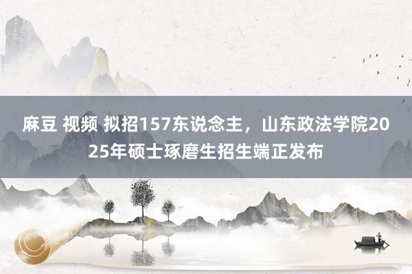 麻豆 视频 拟招157东说念主，山东政法学院2025年硕士琢磨生招生端正发布