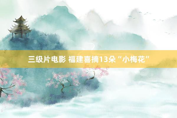 三级片电影 福建喜摘13朵“小梅花”