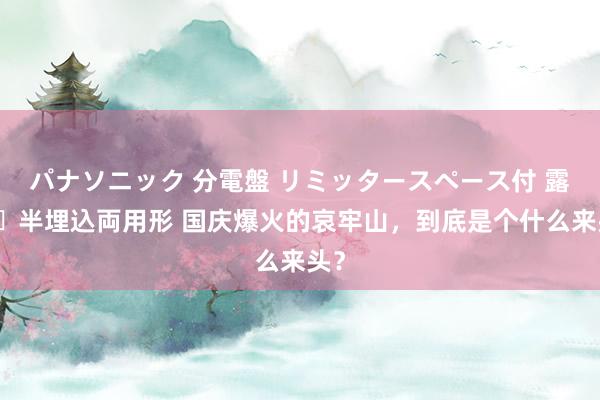 パナソニック 分電盤 リミッタースペース付 露出・半埋込両用形 国庆爆火的哀牢山，到底是个什么来头？