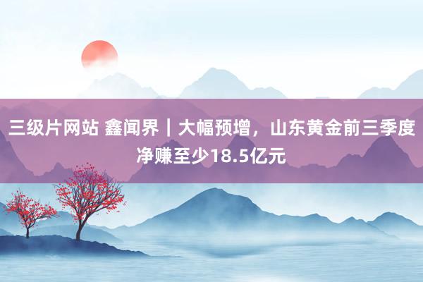 三级片网站 鑫闻界｜大幅预增，山东黄金前三季度净赚至少18.5亿元