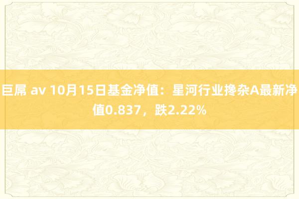 巨屌 av 10月15日基金净值：星河行业搀杂A最新净值0.837，跌2.22%