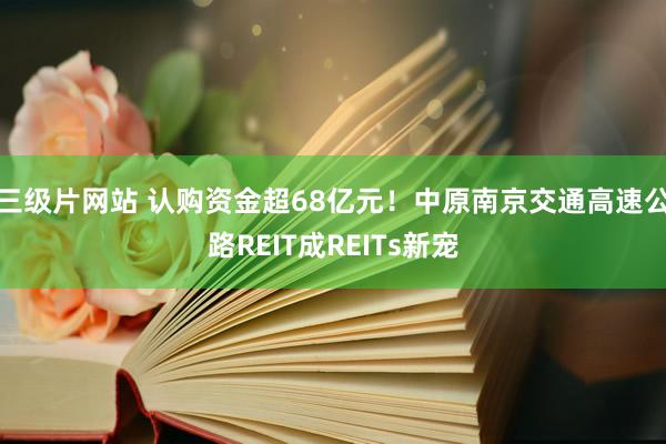 三级片网站 认购资金超68亿元！中原南京交通高速公路REIT成REITs新宠