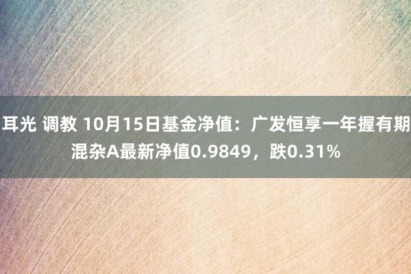 耳光 调教 10月15日基金净值：广发恒享一年握有期混杂A最新净值0.9849，跌0.31%