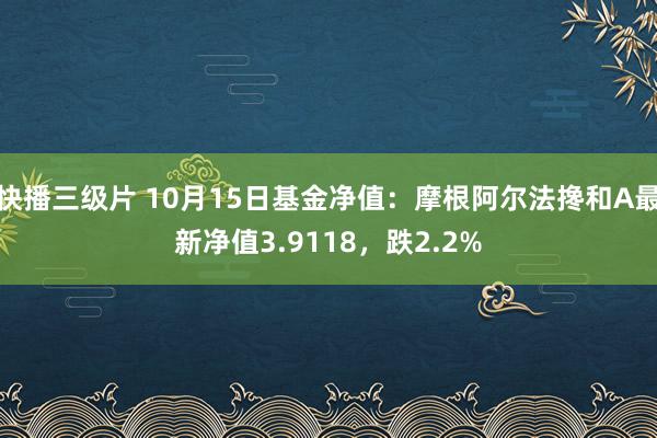 快播三级片 10月15日基金净值：摩根阿尔法搀和A最新净值3.9118，跌2.2%