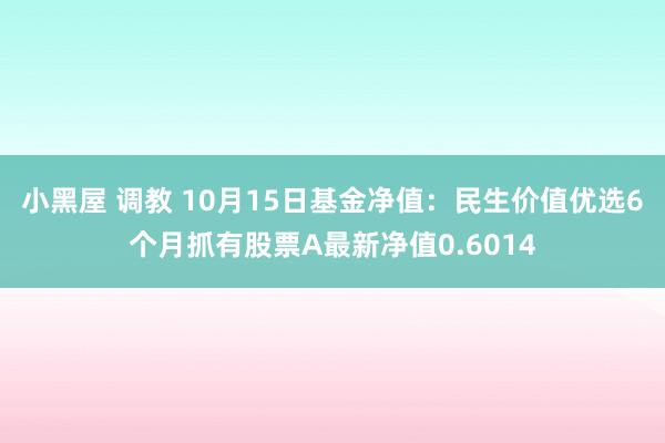 小黑屋 调教 10月15日基金净值：民生价值优选6个月抓有股票A最新净值0.6014