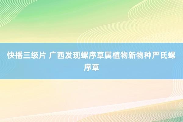 快播三级片 广西发现螺序草属植物新物种严氏螺序草