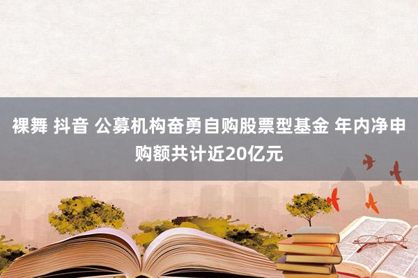 裸舞 抖音 公募机构奋勇自购股票型基金 年内净申购额共计近20亿元