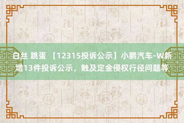 白丝 跳蛋 【12315投诉公示】小鹏汽车-W新增13件投诉公示，触及定金侵权行径问题等