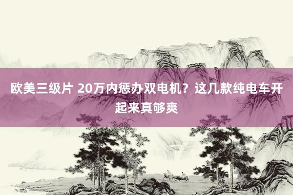 欧美三级片 20万内惩办双电机？这几款纯电车开起来真够爽