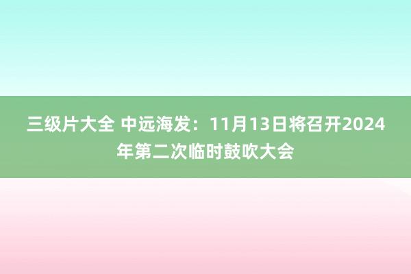 三级片大全 中远海发：11月13日将召开2024年第二次临时鼓吹大会