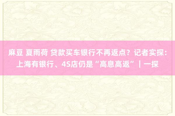 麻豆 夏雨荷 贷款买车银行不再返点？记者实探：上海有银行、4S店仍是“高息高返”｜一探