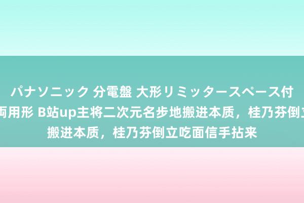 パナソニック 分電盤 大形リミッタースペース付 露出・半埋込両用形 B站up主将二次元名步地搬进本质，桂乃芬倒立吃面信手拈来