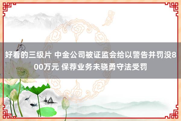 好看的三级片 中金公司被证监会给以警告并罚没800万元 保荐业务未骁勇守法受罚