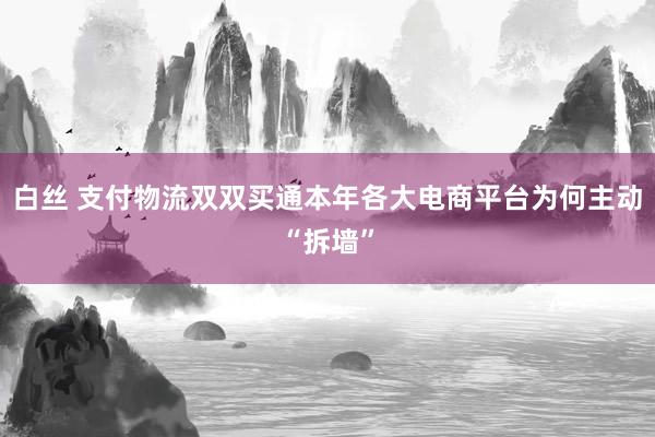 白丝 支付物流双双买通本年各大电商平台为何主动“拆墙”