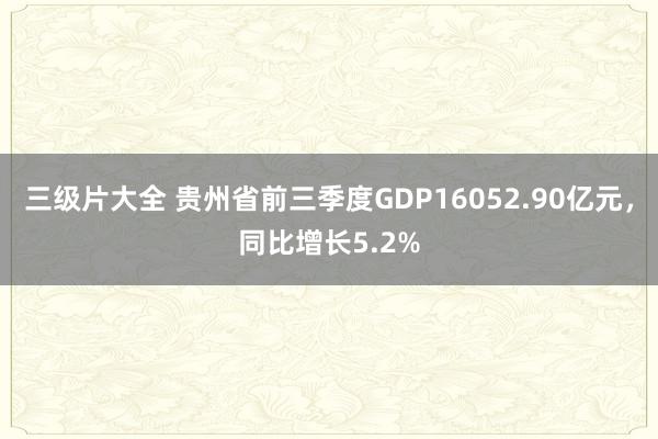 三级片大全 贵州省前三季度GDP16052.90亿元，同比增长5.2%