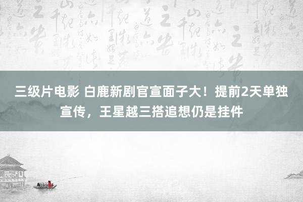 三级片电影 白鹿新剧官宣面子大！提前2天单独宣传，王星越三搭追想仍是挂件