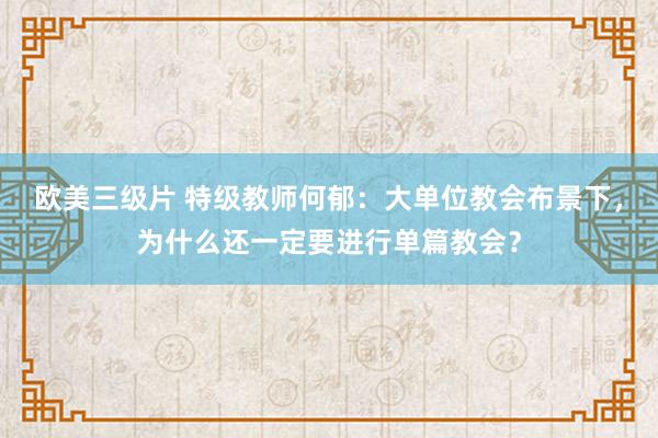 欧美三级片 特级教师何郁：大单位教会布景下，为什么还一定要进行单篇教会？