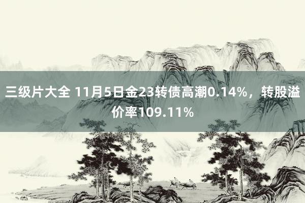 三级片大全 11月5日金23转债高潮0.14%，转股溢价率109.11%