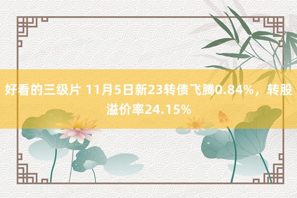 好看的三级片 11月5日新23转债飞腾0.84%，转股溢价率24.15%